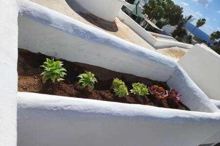 Fantastico Apartamento Con Terraza Y Vistas Al Mar كوستا تاغيسي المظهر الخارجي الصورة